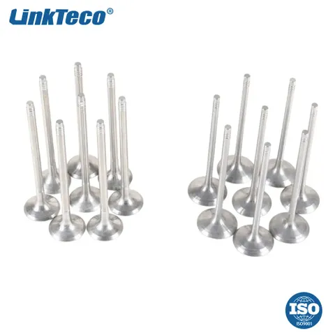 Intake & Exhaust Valves For BMW 135i 335i N55B30 N20B20 3.0L