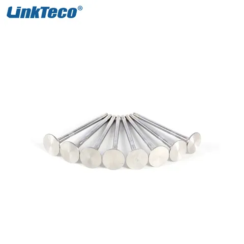 Old Intake Exhaust valves For 04-08 Mercedes-Benz M271 1.8L