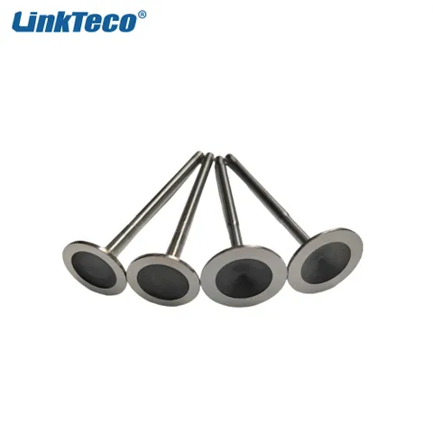 LR008130 Intake Exhaust Valves for 04-22 Land Rover 2.7L 3.0L