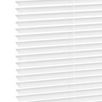 B01 White