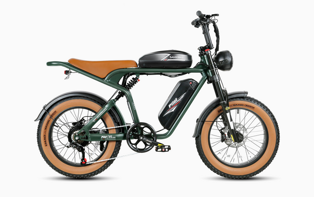 M20-III 2000W Electric Bicycle