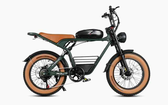 M20 1000W Electric Bike