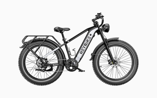 Heybike Brawn