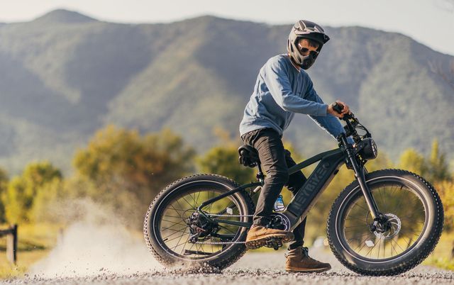 Heybike Brawn