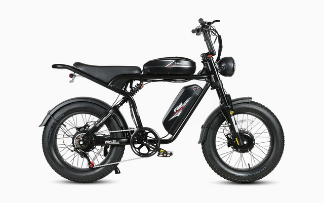 M20-III 2000W Electric Bicycle