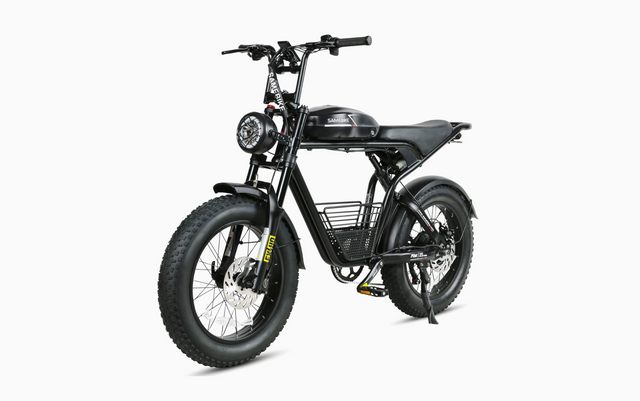 M20 1000W Electric Bike