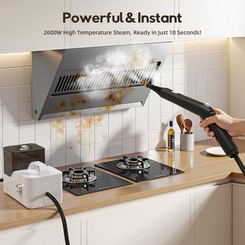 SX26 Steam Cleaner