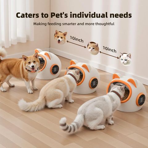 Smart RFID Cat Feeder with Collar Sensors