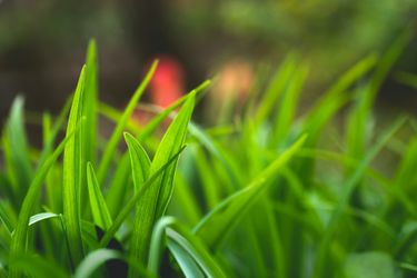How to Prevent Fertilizer Precipitation in Fertigation Systems