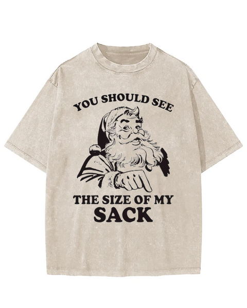 You Should See The Size Of My Sack Washed T-shirt