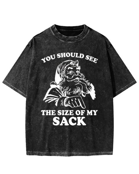 You Should See The Size Of My Sack Washed T-shirt