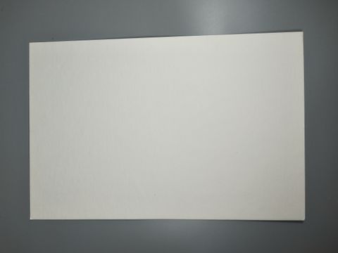 Nitrocellulose Membrane (NC Membrane)