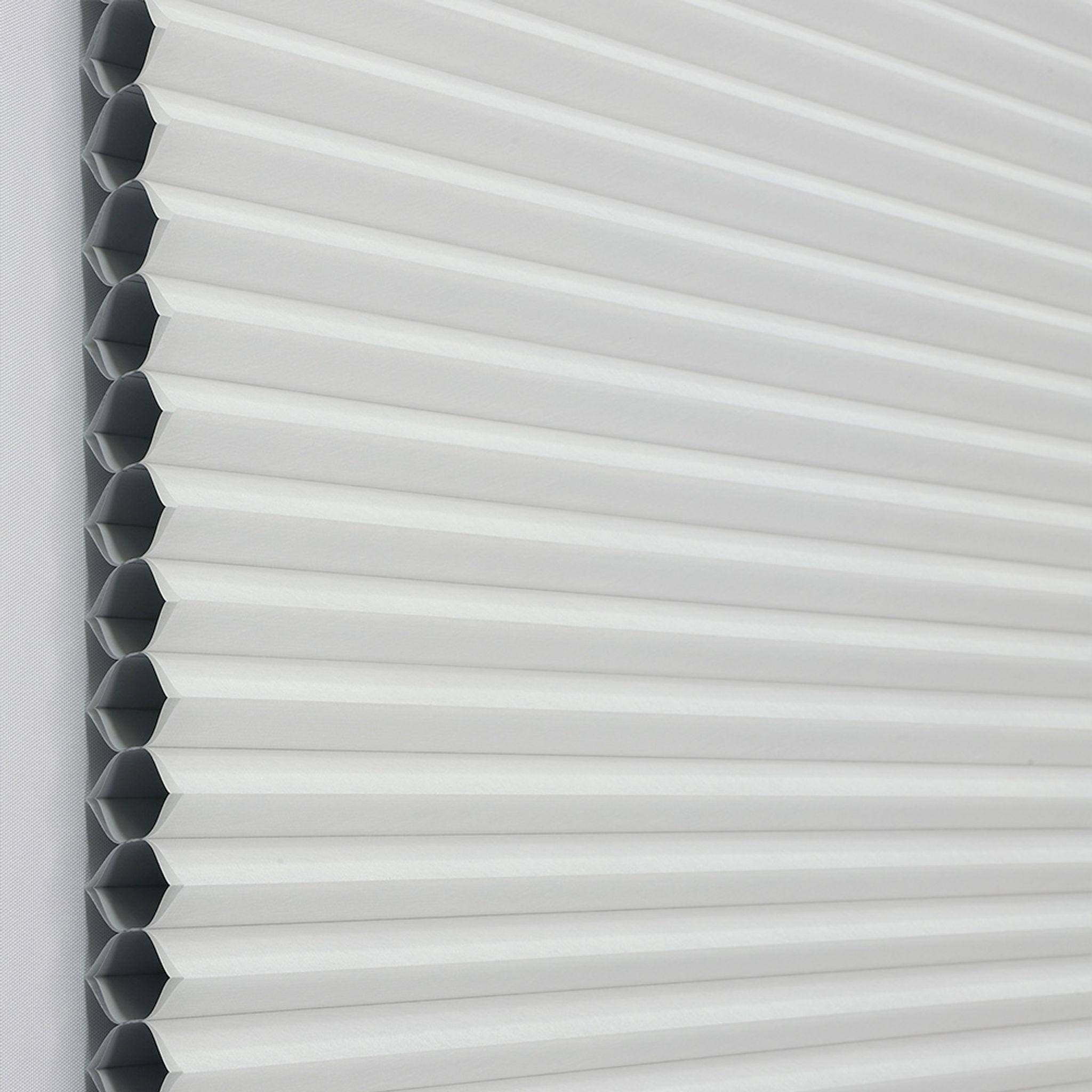 #38HB01 White (Blackout)