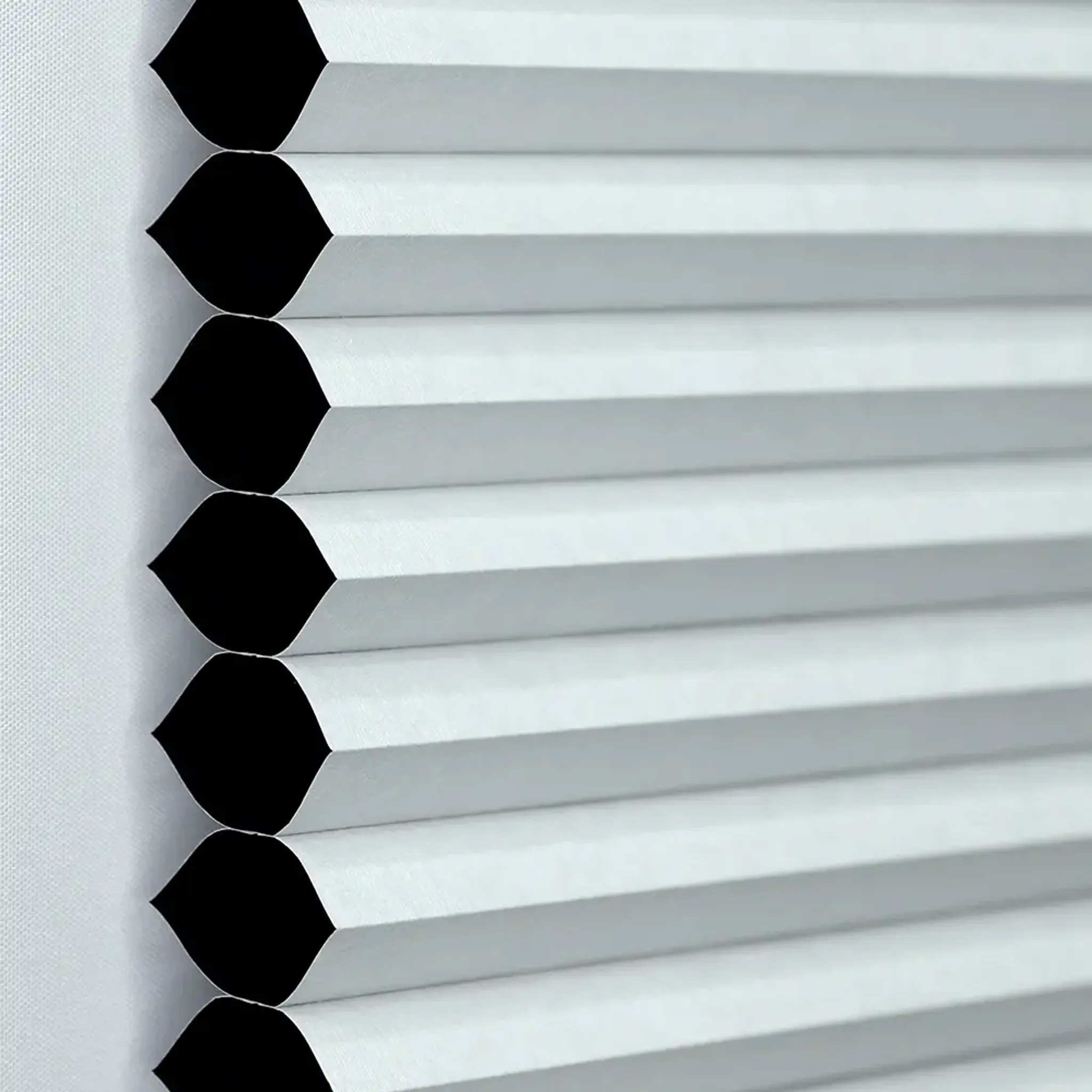 #7101 White (Blackout)