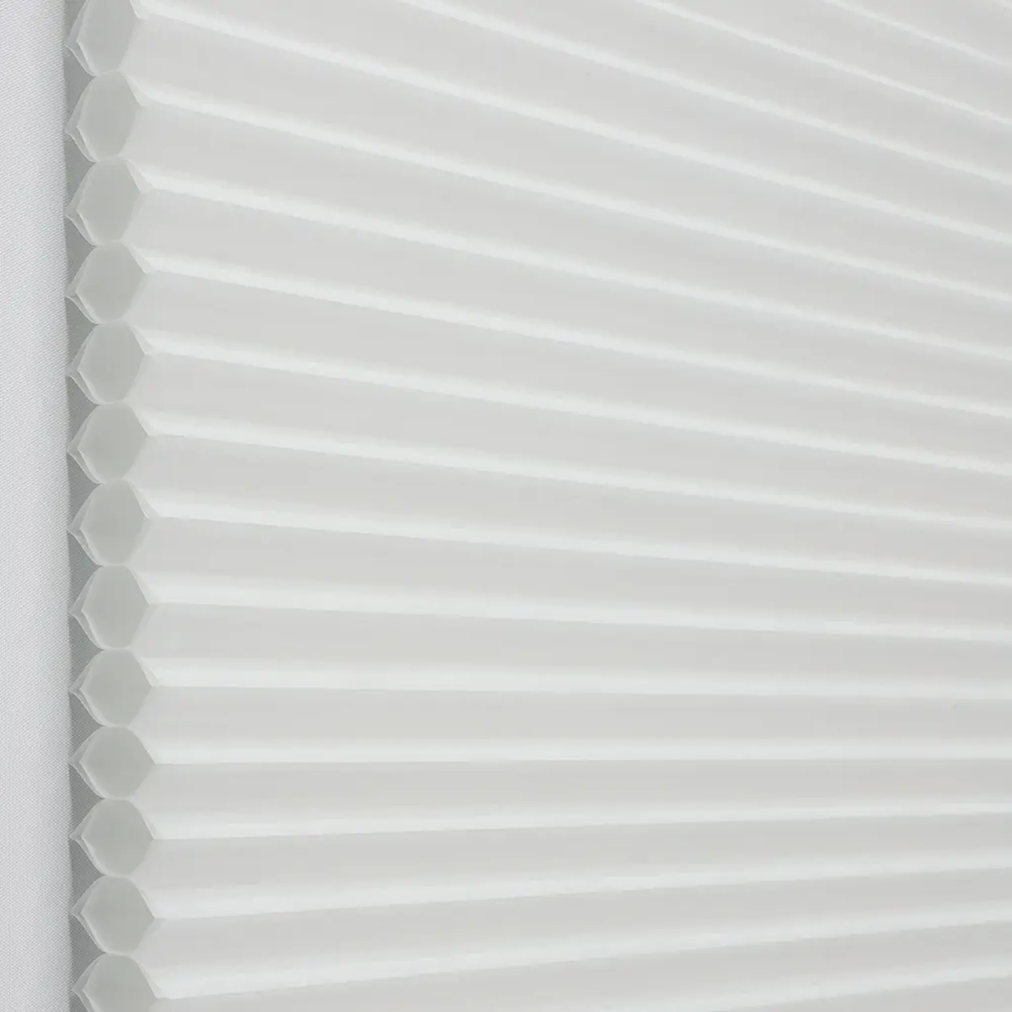 #38H01 White