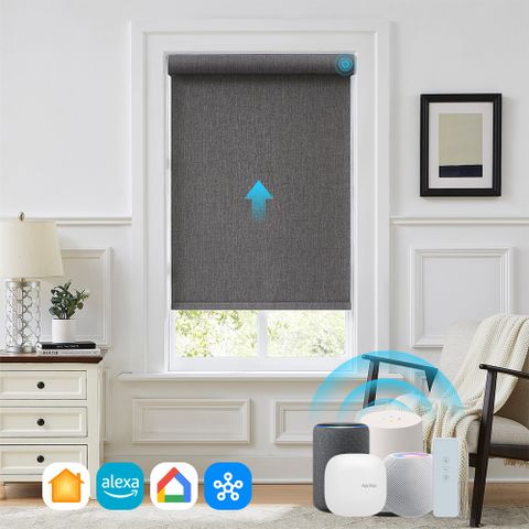 Motorized Bouvardia Blackout Roller Shades