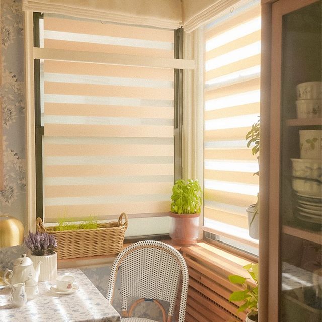 Boutique Zebra Shades