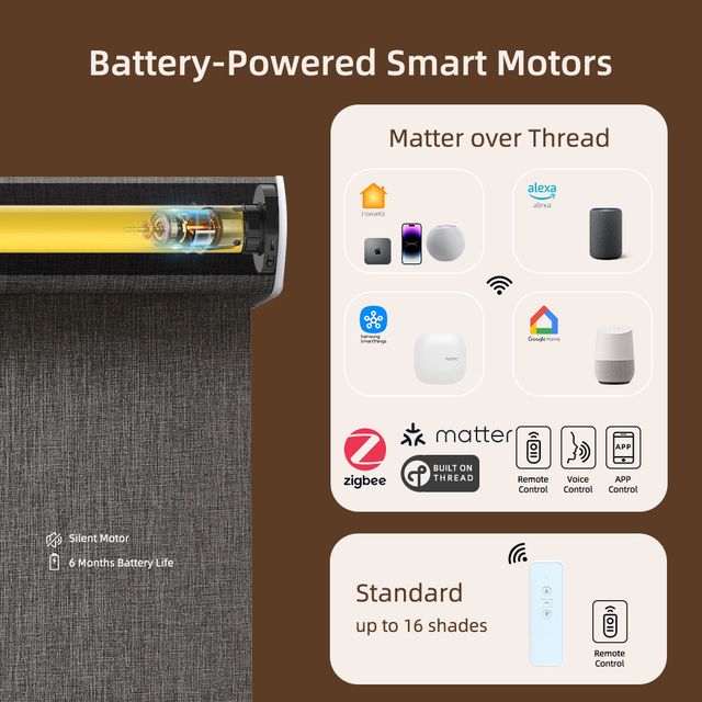 Motorized Bouvardia Blackout Roller Shades