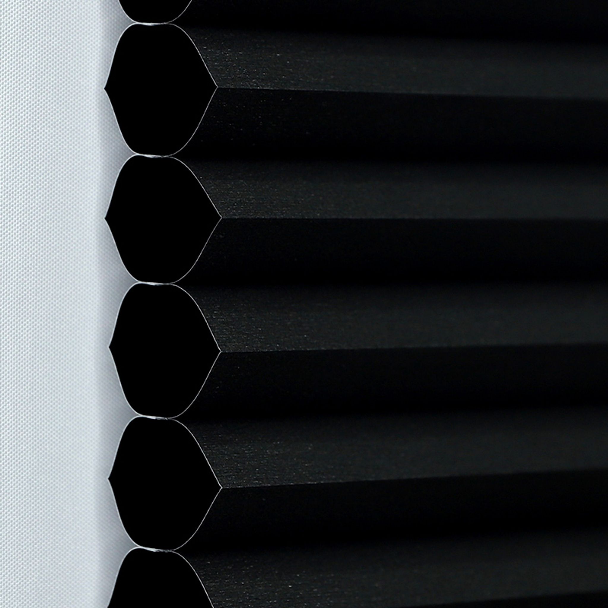 #BBL522 Black (Blackout)