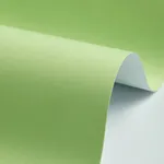 Fresh Apple Green