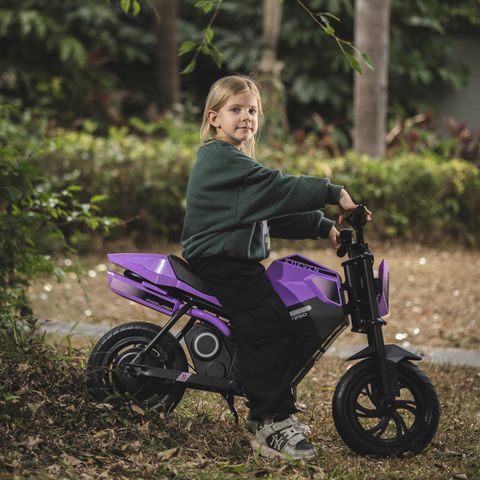 Electric Mini Bike for Kids - ADV 250S