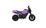 electric minibikes