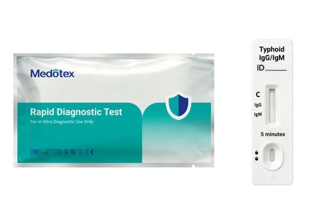 Typhold IgG/IgM Rapid Test