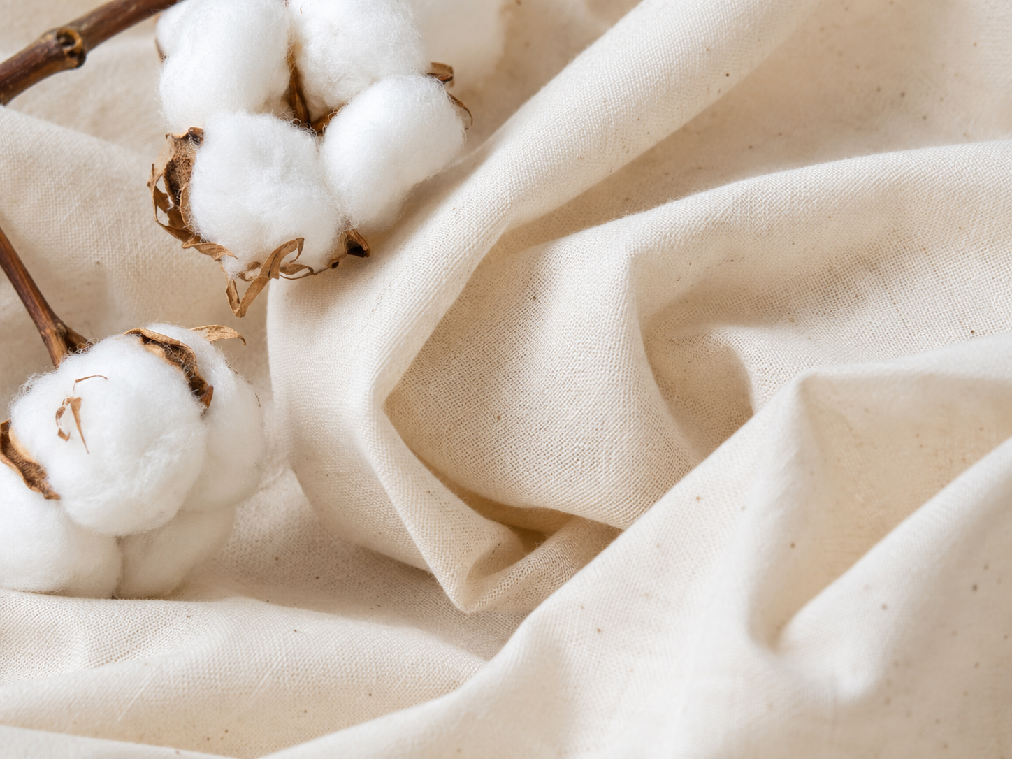 Organic Cotton