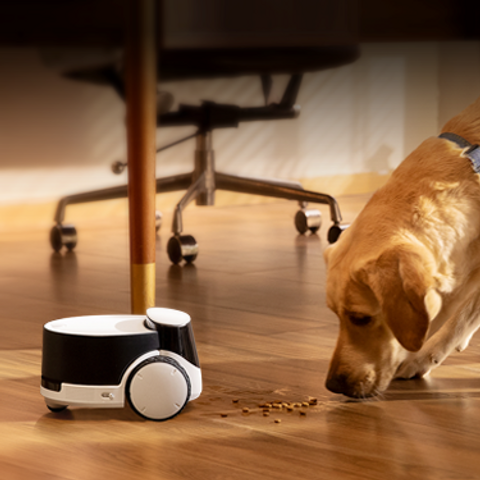 Enabot ROLA PetPal — 2.5K Modular AI Pet Robot with Treat Dispenser & Auto-Recharge