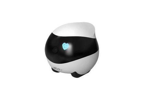 Enabot Intelligent Pet Companion Robot EBO SE Movable Home Camera for Wireless Remote Monitoring of Cats