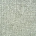 Meadow Sage <br>AC02-01