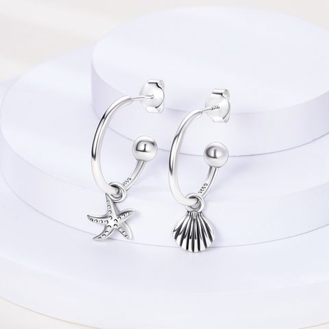 Starfish Shell Stud Earrings