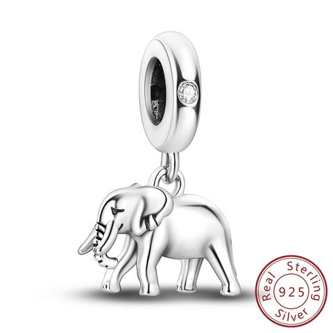 Charme d'éléphant sauvage