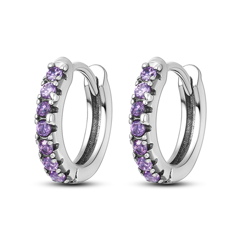 Boucles d'Oreilles Incrustation de Zirconium Violet