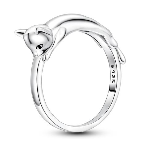 Cat Rings