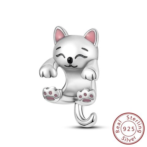 Petites perles de chat au lait