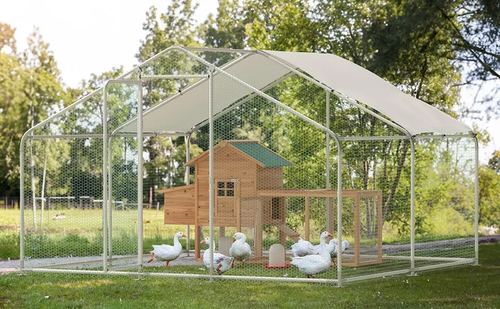 Phonjoroo 10x10x6.6 ft Walk-In Metal Chicken Run & 80" Wooden Chicken Coop Outdoor Yard