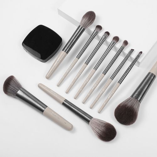 Silver Glegance 10-Piece Face & Eye Brush Set