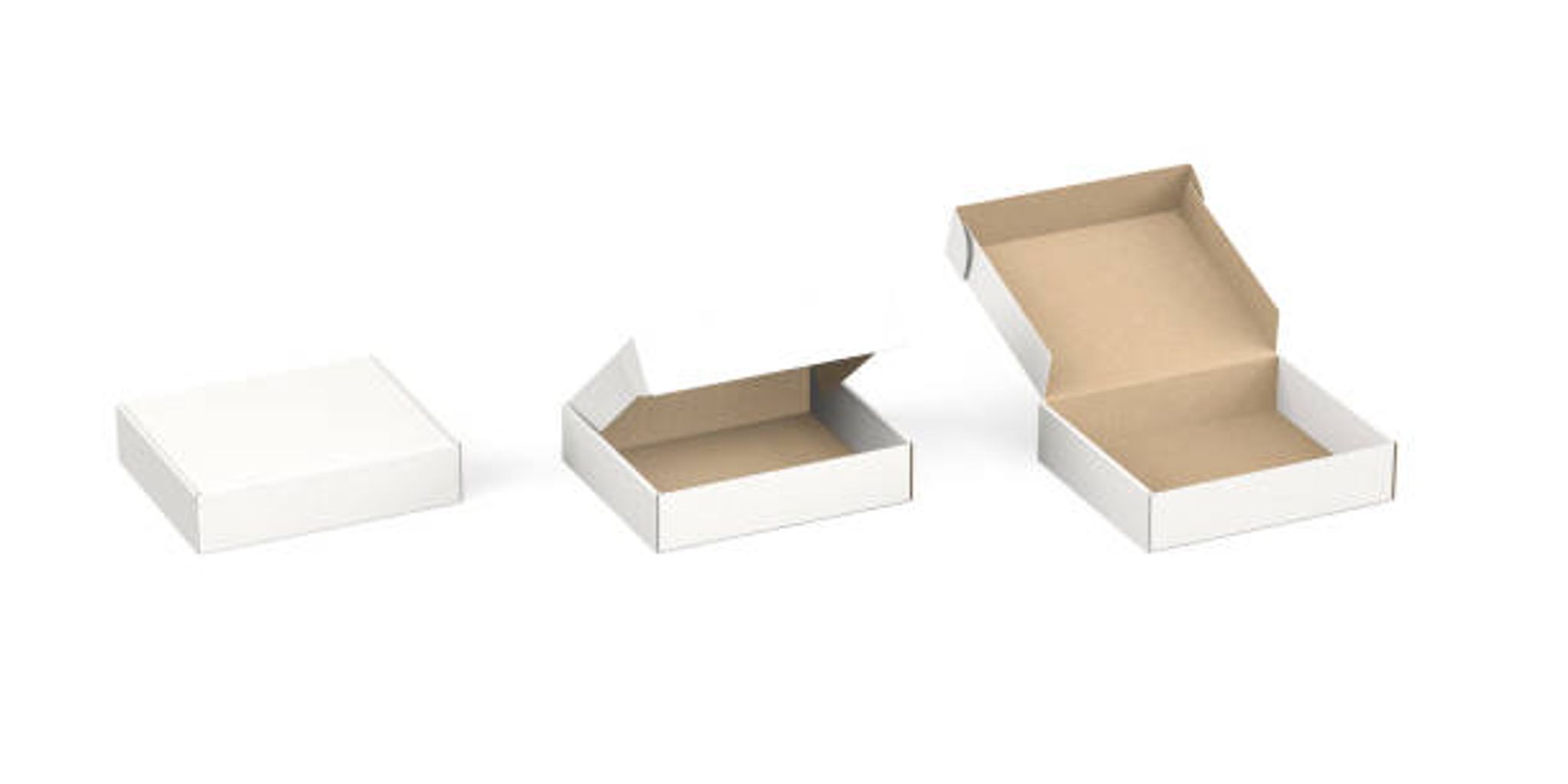 Various Types for Your Packaging Needs