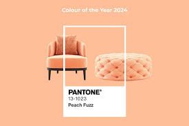 Pantone's 2024 Color: Peach Fuzz