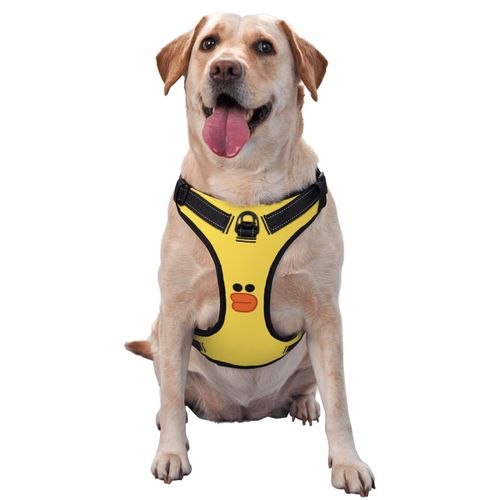 Secure and Comfortable Custom Pet Harness with Chest and Back Straps