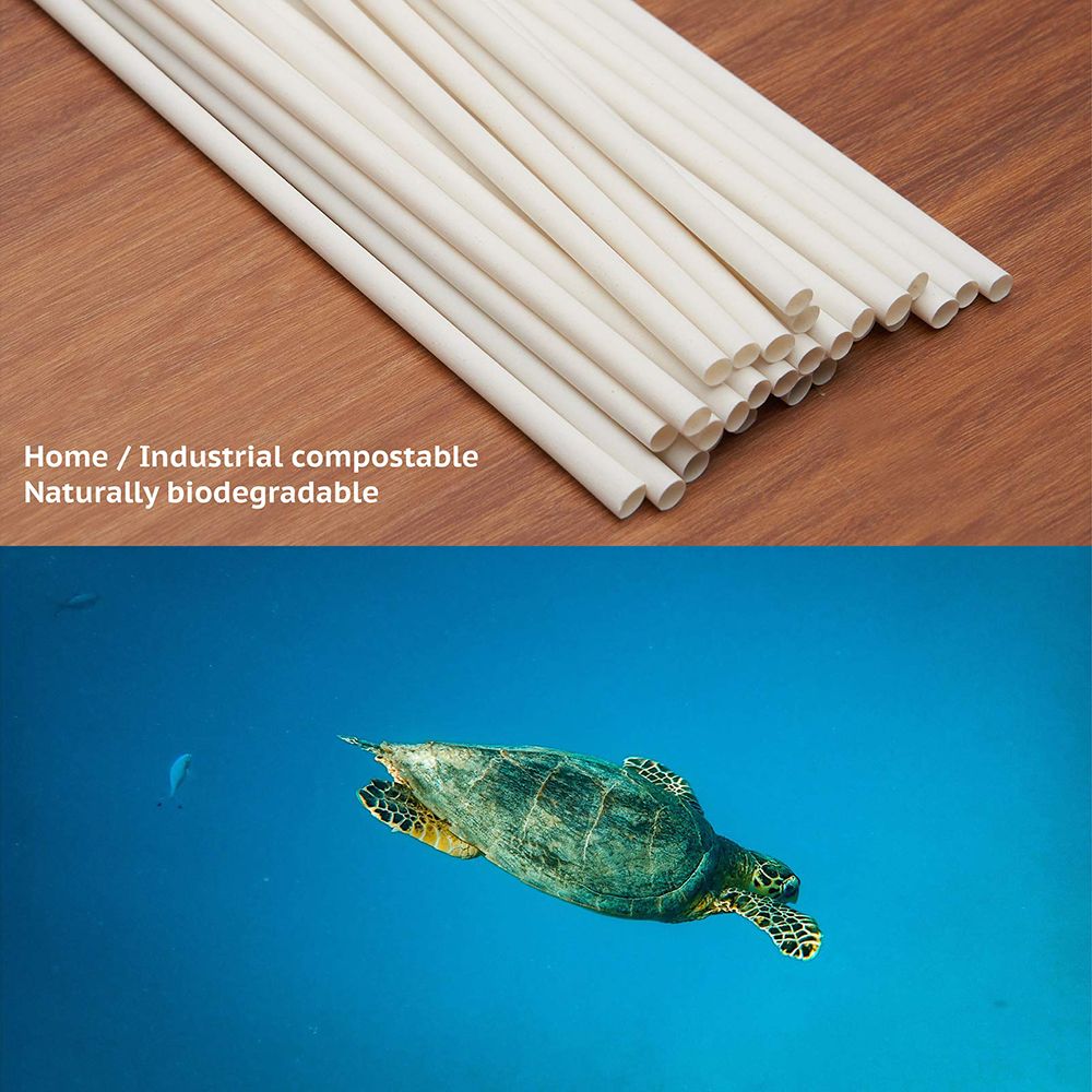 Ocean Friendly Straws