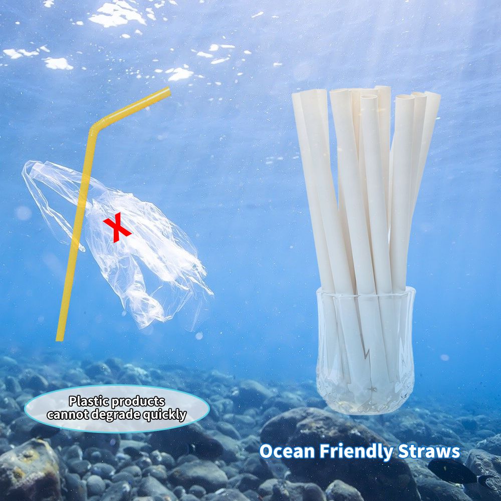 Ocean Straws