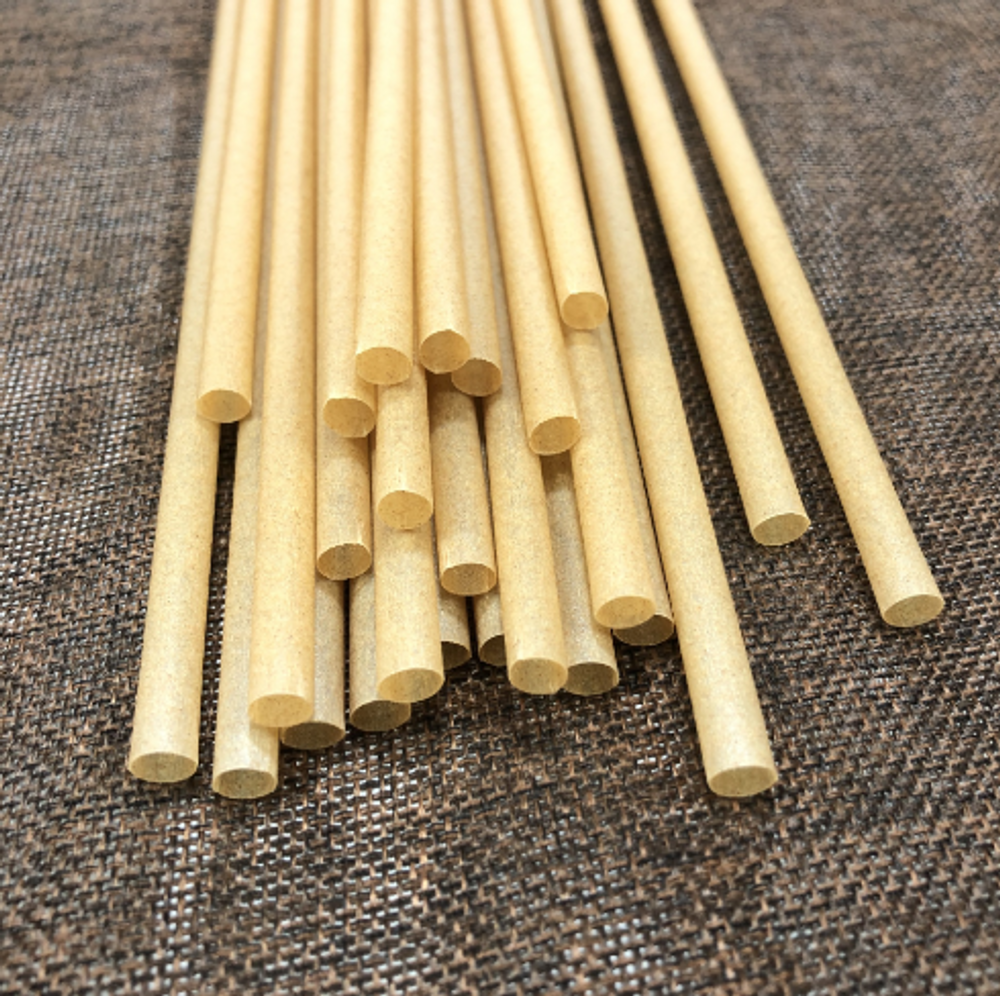 Biodegradable Natural Bagasse Sugar Cane Straws