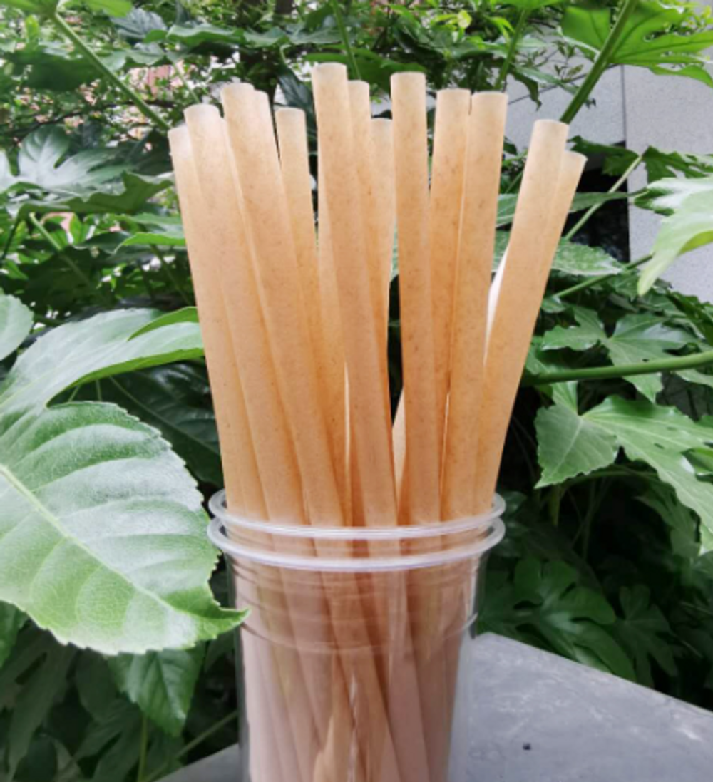 Sugar Cane Drinking Straws