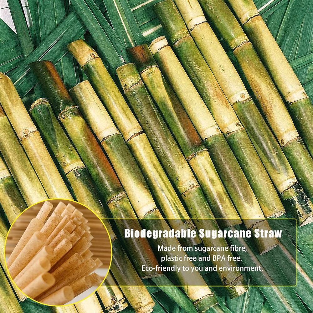 Biodegradable Natural Bagasse Sugar Cane Straws