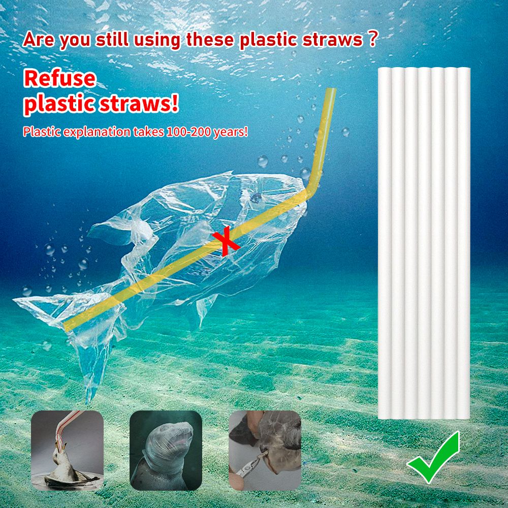 Biodegradable Straws