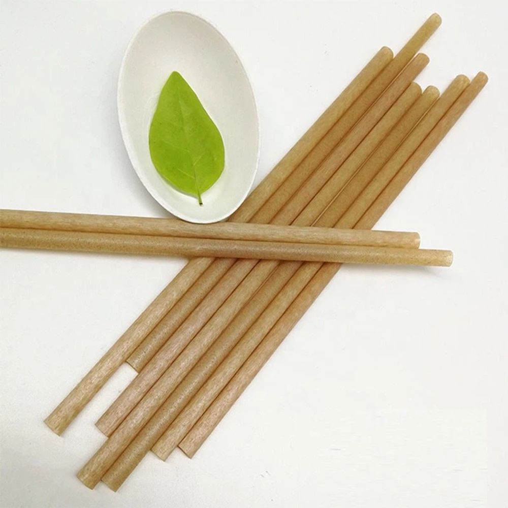 Bagasse Biodegradable Straws