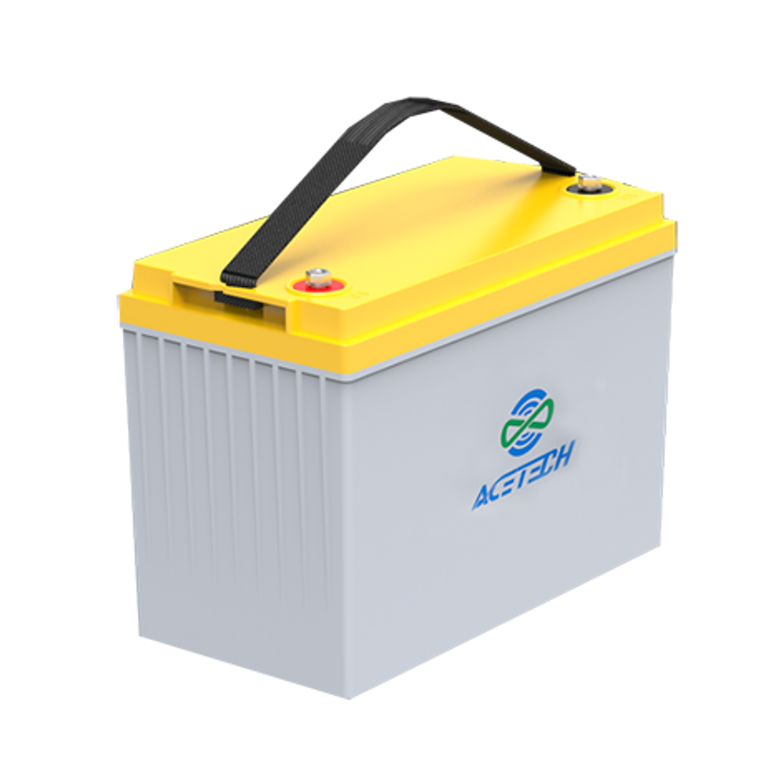 Lithium ion RV Battery