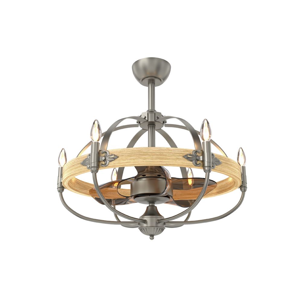 Decorative Ceiling Fan With Light